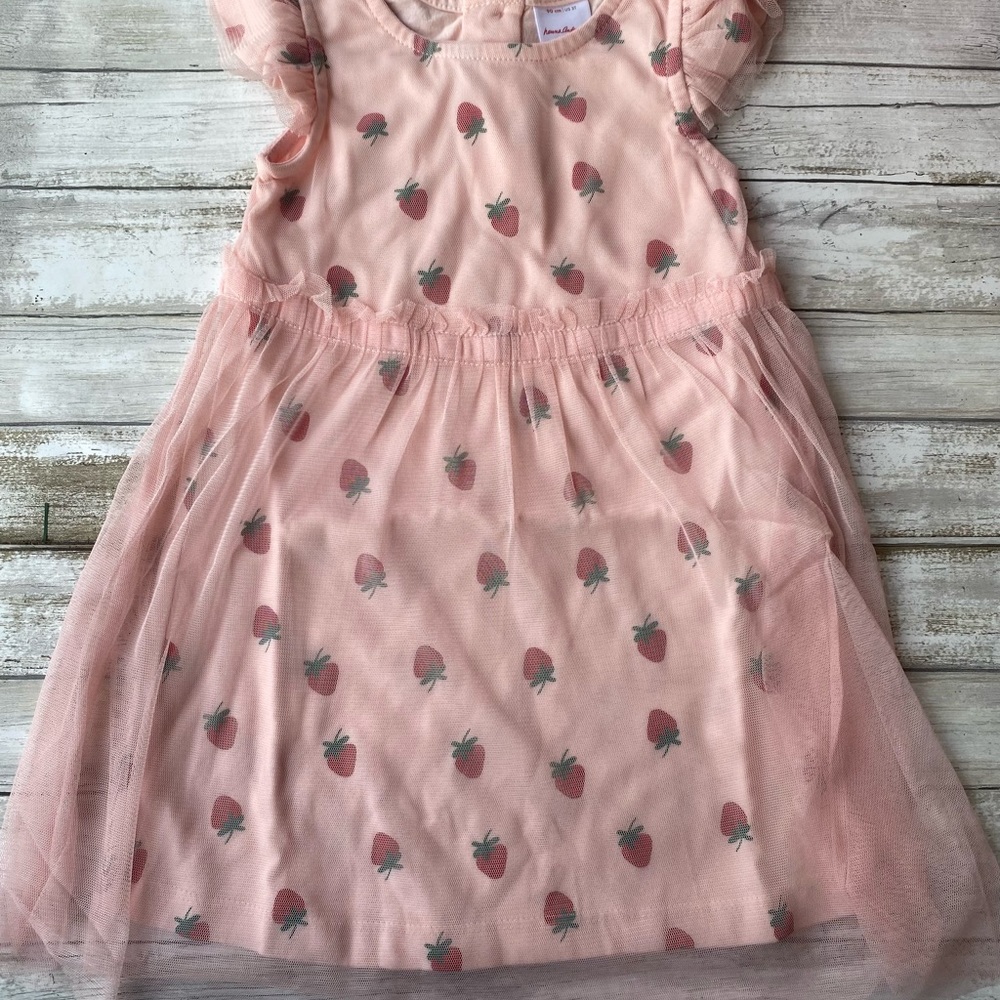 New Hanna Andersson Strawberry Print Tulle Overlay Dress
